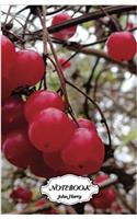 Notebook Journal Dot-grid, Graph, Lined, Blank No Lined - Cherries: Small Pocket Notebook Journal Diary