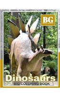Beautiful Grayscale Dinosaurs Big Coloring Book