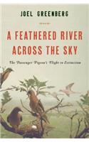A Feathered River Across the Sky