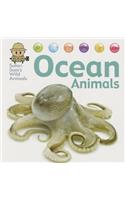 Ocean Animals