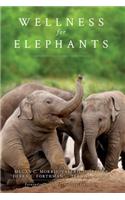 Wellness for Elephants