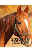 2020 Weekly Planner: Horse 52 Week Journal 8.5 x 11 inches for Women, Academic Organizer Monthly Calendar Scheduler Appointment Agenda Notebook Planners