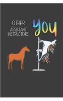 Other Assistant Instructors You