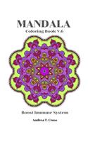 Mandala Coloring Book V.6