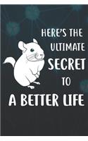 Here's The Ultimate Secret To A Better Life Notebook Journal: 110 Blank Lined Papers - 6x9 Personalized Customized Notebook Journal Gift For Chinchilla Owners and Lovers