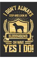 I Don't Always Stop and Look At Bloodhound OH Wait, Yes I Do!