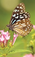 Butterfly On Pink Flower Journal