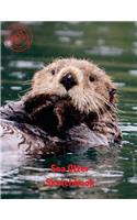 Sea Otter Sketchbook