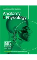 Introductory Guide Anatomy Physiology PB (Revised)