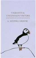 Vagrants & Uncommon Visitors