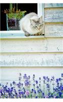 Cat in a Cottage Window Journal: 150 Page Lined Notebook/Diary