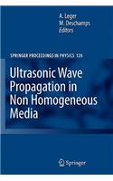 Ultrasonic Wave Propagation in Non Homogeneous Media