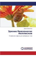 Zrenie Bryukhonogikh Mollyuskov: (Russian)