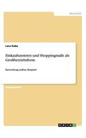 Einkaufszentren und Shoppingmalls als Großbetriebsform