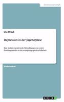 Depression in der Jugendphase: Eine multiperspektivische Betrachtungsweise sowie Handlungsansätze in der sozialpädagogischen Fallarbeit