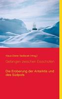 Gefangen zwischen Eisschollen