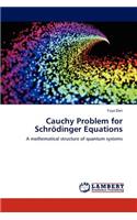 Cauchy Problem for Schrodinger Equations