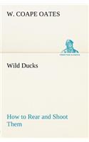 Wild Ducks How to Rear and Shoot Them