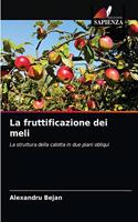 fruttificazione dei meli