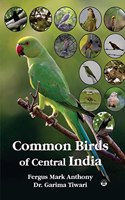 Common Birds Of Central India
