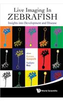 Live Imaging in Zebrafish: Insights Into Development and Disease