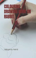 Colouring Drawing Book on Rabbit