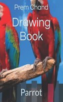 Drawing Book