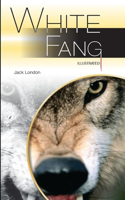 White Fang Illustrated