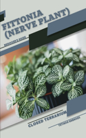 Fittonia (Nerve Plant)