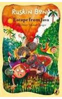 Escape from Java: and Other Tales of Danger