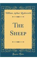 The Sheep (Classic Reprint)