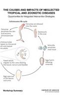 The Causes and Impacts of Neglected Tropical and Zoonotic Diseases