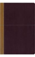 KJV, Amplified, Parallel Bible, Large Print, Leathersoft, Tan/Red, Red Letter Edition: Two Bible Versions Together for Study and Comparison