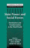 State Power and Social Forces