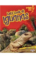 Let's Look at Iguanas