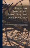 More Important Insect Injuries to Indian Corn
