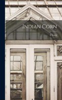 Indian Corn