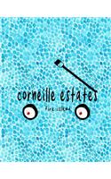 Corneille Estates Fire Island