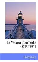 La Vedova Commedia Facetissima: (English)