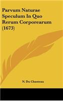 Parvum Naturae Speculum in Quo Rerum Corporearum (1673)