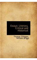 Essays: Literary, Critical and Historical