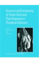 Structure and Functioning of Cluster Roots and Plant Responses to Phosphate Deficiency