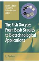 Fish Oocyte