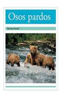 Osos Pardos (Brown Bears): Bookroom Package (Levels 17-18)