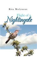 Flight of a Nightingale