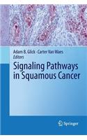 Signaling Pathways in Squamous Cancer