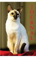 Journal