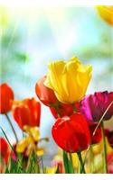 MindBlowing Tulip Journal 2