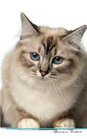 Birman Cat Affirmations Workbook Birman Cat Presents: Positive and Loving Affirmations Workbook. Includes: Mentoring Questions, Guidance, Supporting You.