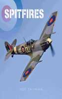 SPITFIRES SQUARE WALL CALENDAR 2021